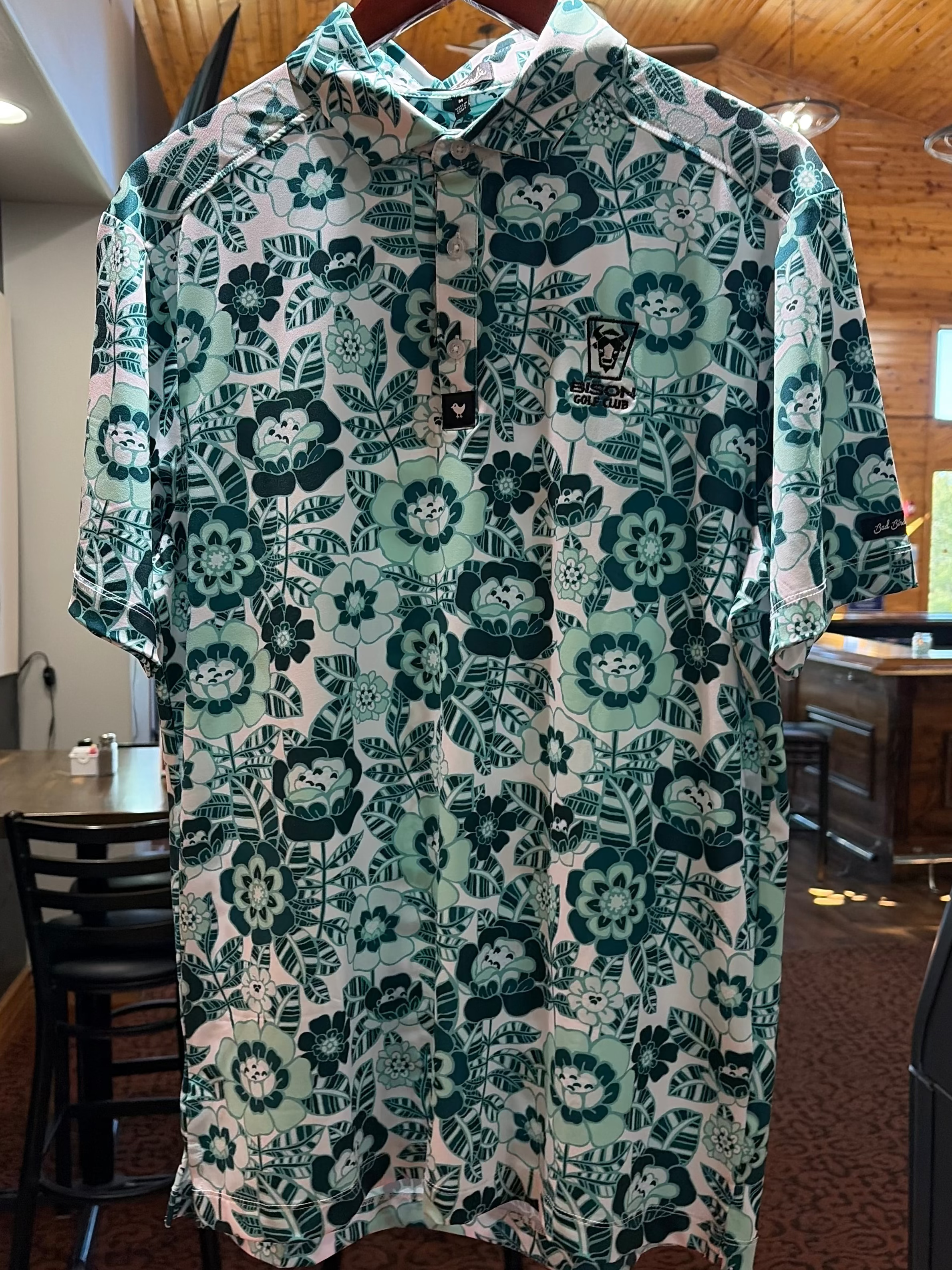 Lake Effect Bison Logo